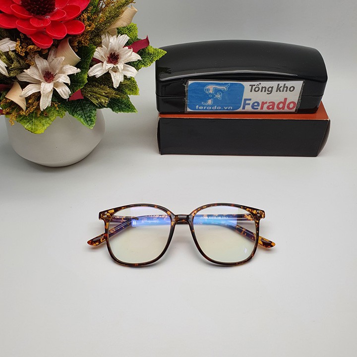 Gọng kính cận thời trang hàn quốc LĐ 2433 TN