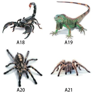 Decal 3d Hình Nhện Bọ Cạp 3d Trang Trí Xe Hơi