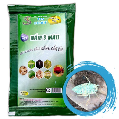 [Mua 10 Tặng 2] NẤM 3 MẦU: Nấm Ký Sinh Diệt Sâu Rầy - GÓI 30gr