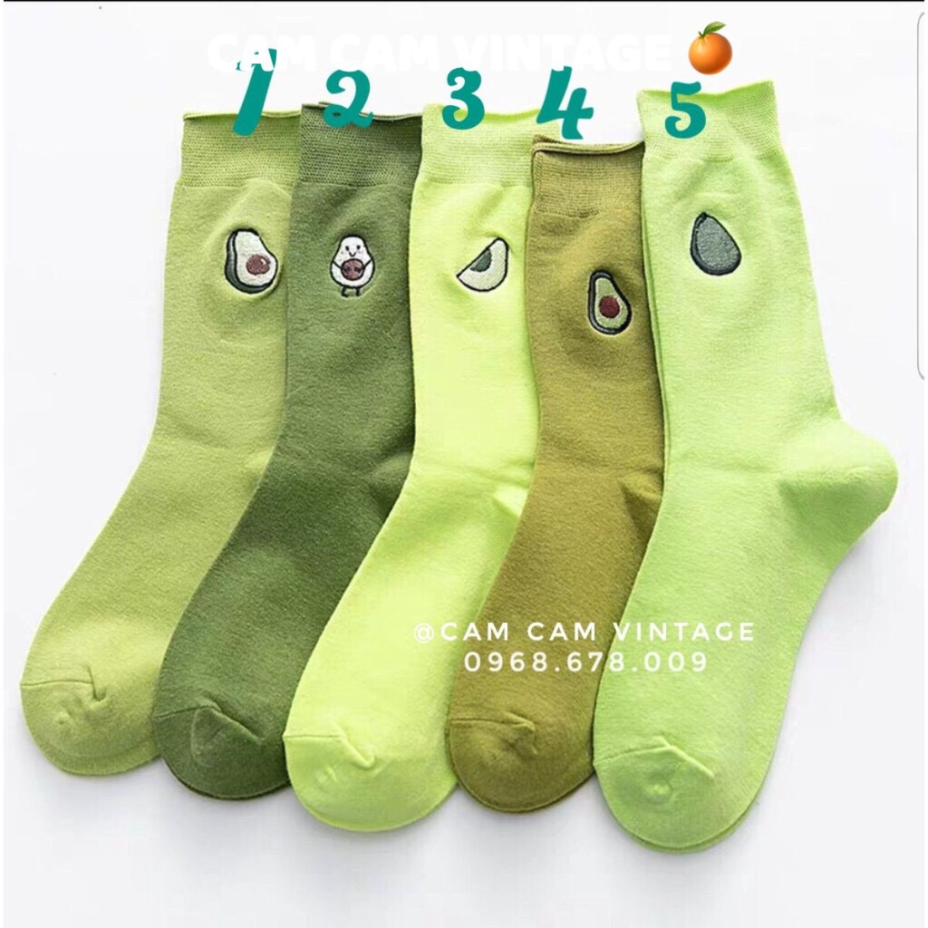 TẤT VỚ UNISEX CAO CỔ TẤT QUẢ BƠ AVOCADO