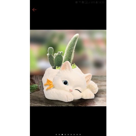 Chậu xi măng  thú trồng sen đá xương rồng hình mèo dễ thương.tô tượng