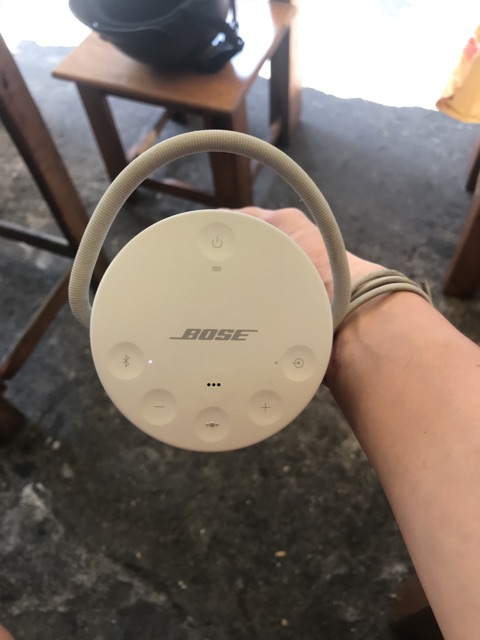 Bose Revolve Plus