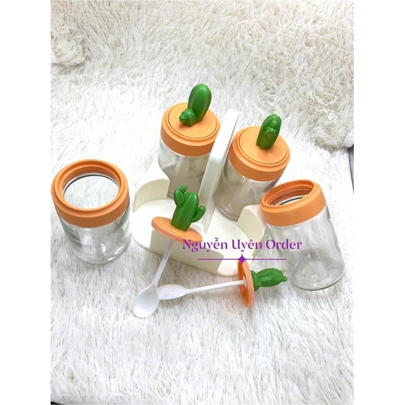 Set Hộp/ Lọ Đựng Gia Vị Thuỷ Tinh Hình Cây Xương Rồng Có Kệ Để