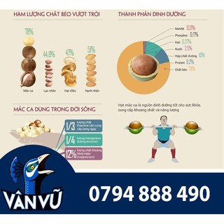 Hộp Mixed Nuts 6 Loại Hạt - 500g (Hạnh Nhân, Hạt Thông, Macca, Óc Chó, Úc, Hạt Dẻ Cười, Hồ Đào)