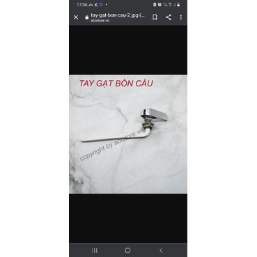 tay gạt bồn cầu