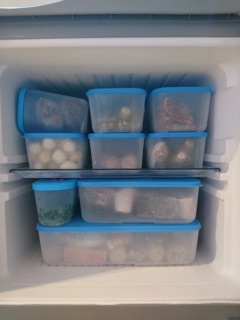 Bộ trữ đông thực phẩm Tupperware 650ml ( 6 hộp)