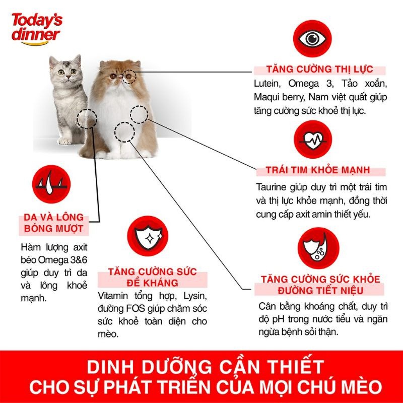 [TIẾT KIỆM] Hạt Thức Ăn Mèo Today's Dinner 1Kg - Túi Tiết Kiệm Today Dinner Thay Thế Catsrang - Bobo Pet Shop Hà Nội