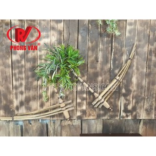 Bán khèn dân tộc mông