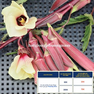 2GR - HẠT GIỐNG ĐẬU BẮP ĐỎ