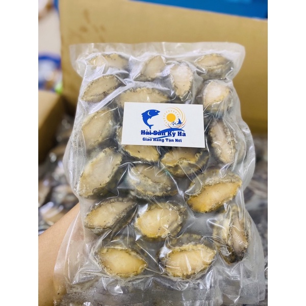 Giá Sỉ 1kg bào Ngư Abalone size 20 Con 1kg