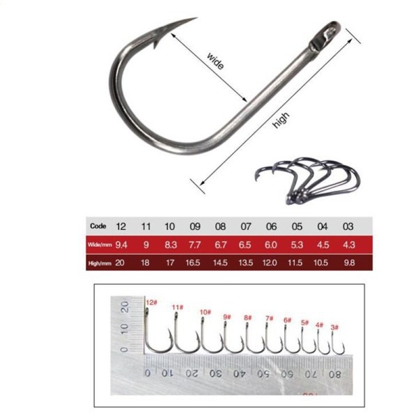 Hộp lưỡi câu 10 kích cỡ bằng thép carbon cao cấp