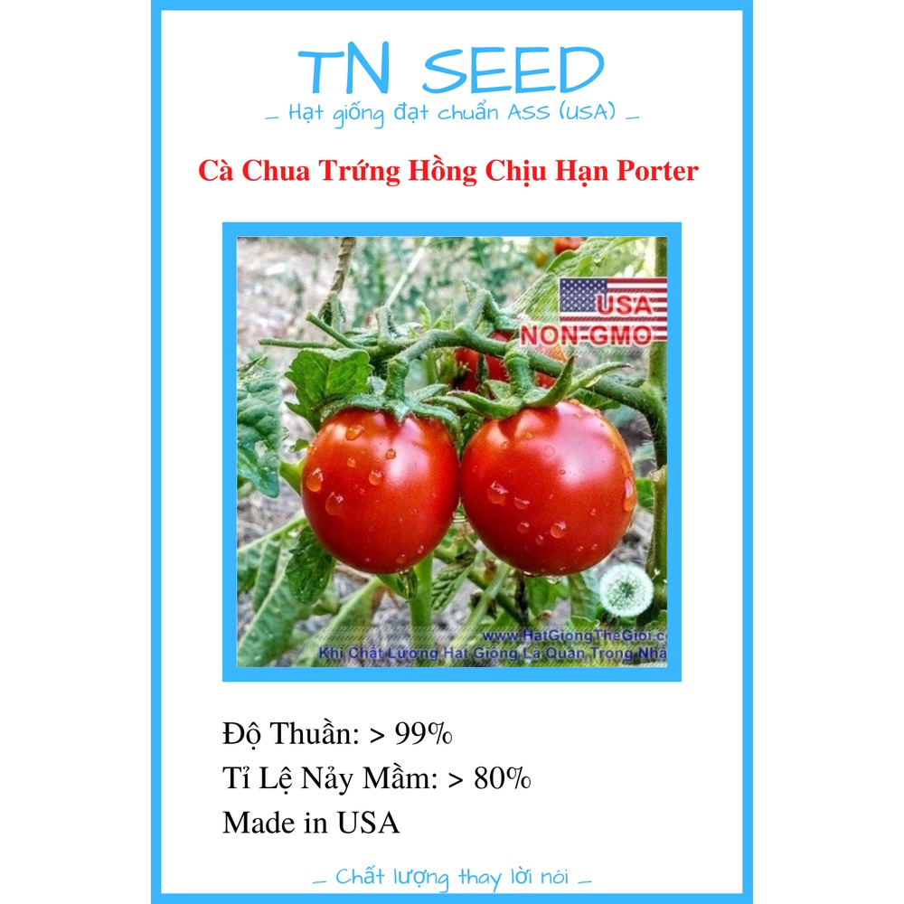 Hạt Giống Cà Chua Trứng Hồng Chịu Hạn Porter [Gói 10 Hạt]