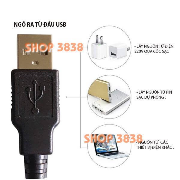 (Nguồn USB) Dây Đèn Led Bông Tuyết Dài 3M - 20 Bóng Chớp Màu Trang Trí Noel Lễ Tết