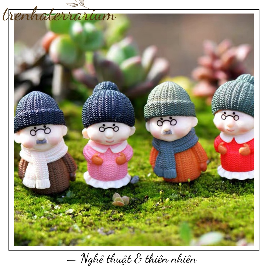 Tiểu cảnh cặp ông bà terrarium cực đáng yêu nhaaa!!