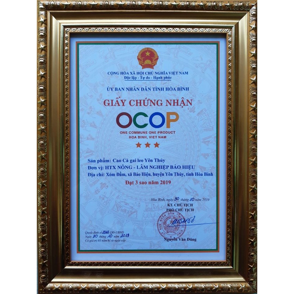 Giải độc gan, Giải rượu Cao Cà gai leo Yên Thủy 100g | BigBuy360 - bigbuy360.vn