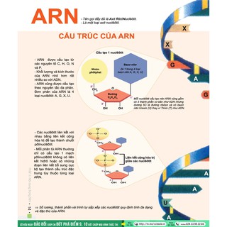 Sách - Đột phá 8+ môn Sinh học (tái bản 2020)