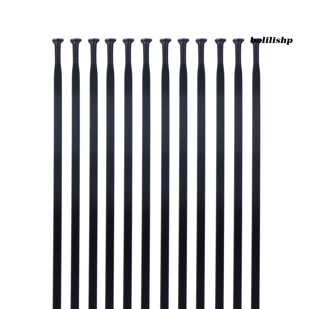 Bộ 12 Cái Căm Xe Đạp Bằng Thép Không Gỉ 260-290mm