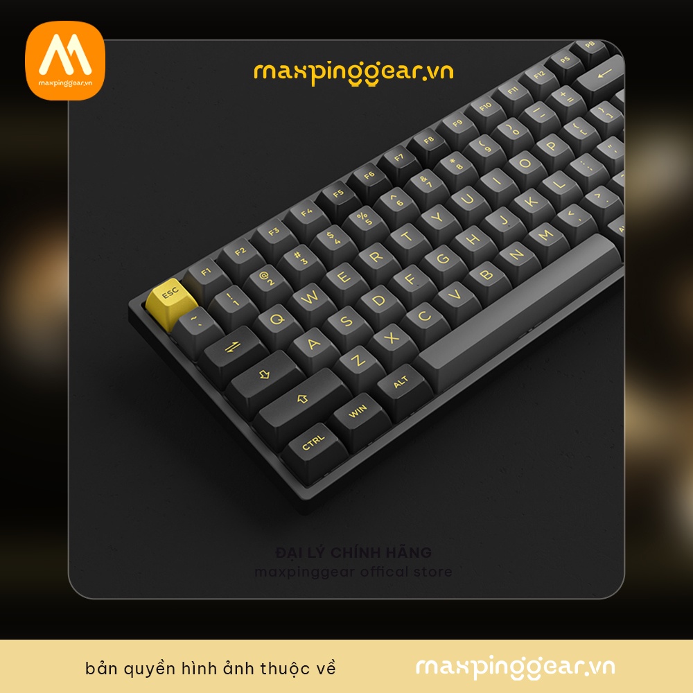Bàn phím cơ AKKO 3084B Plus Black & Gold