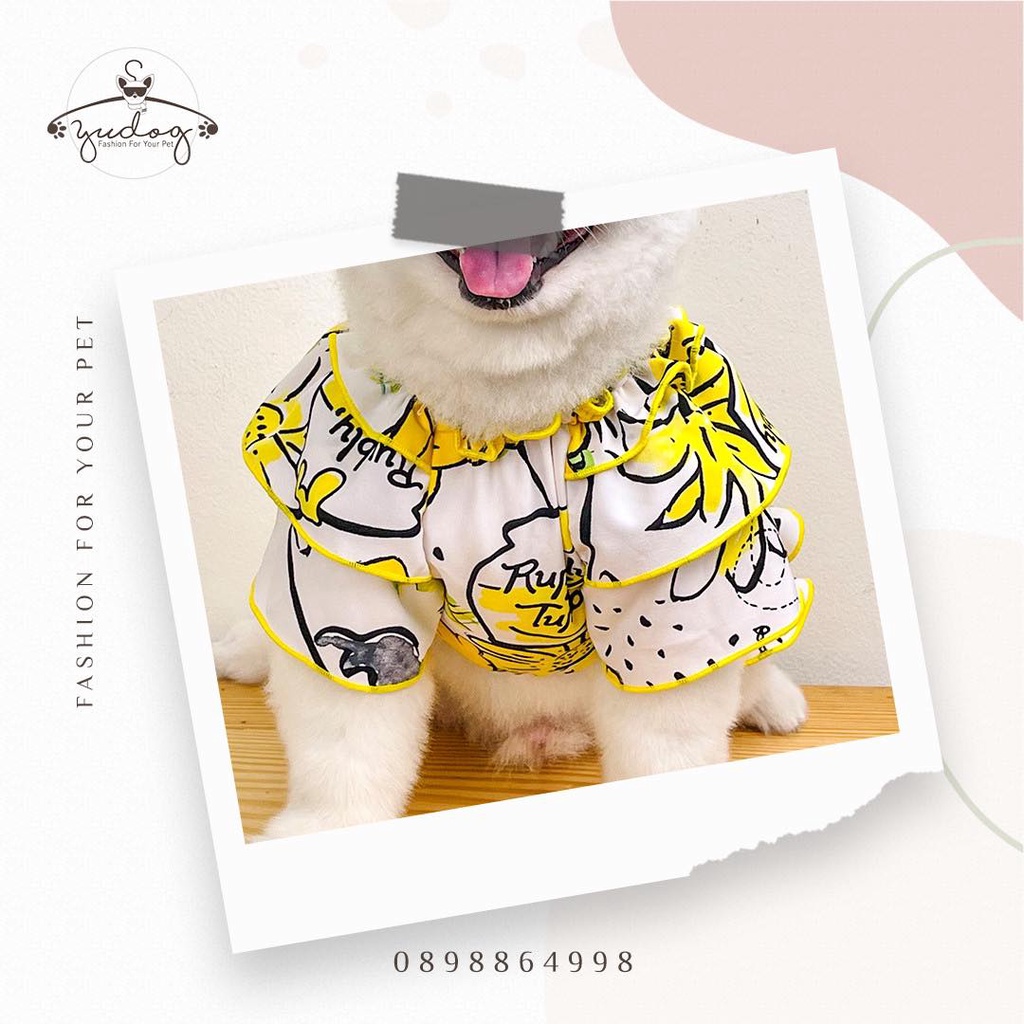 Đầm gấu poor vàng dành cho chó mèo yudog