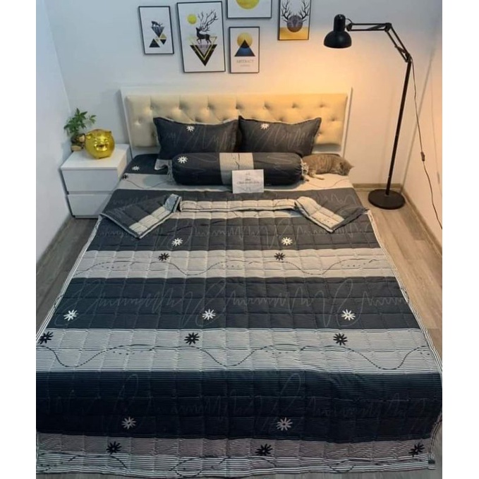 Bộ chăn hè ga gối 5 món poly cotton.