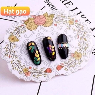 Set nhũ rắc 12 ô (hình hạt gạo)