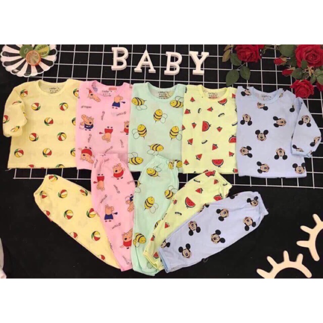 Combo sỉ catter dưa hấu