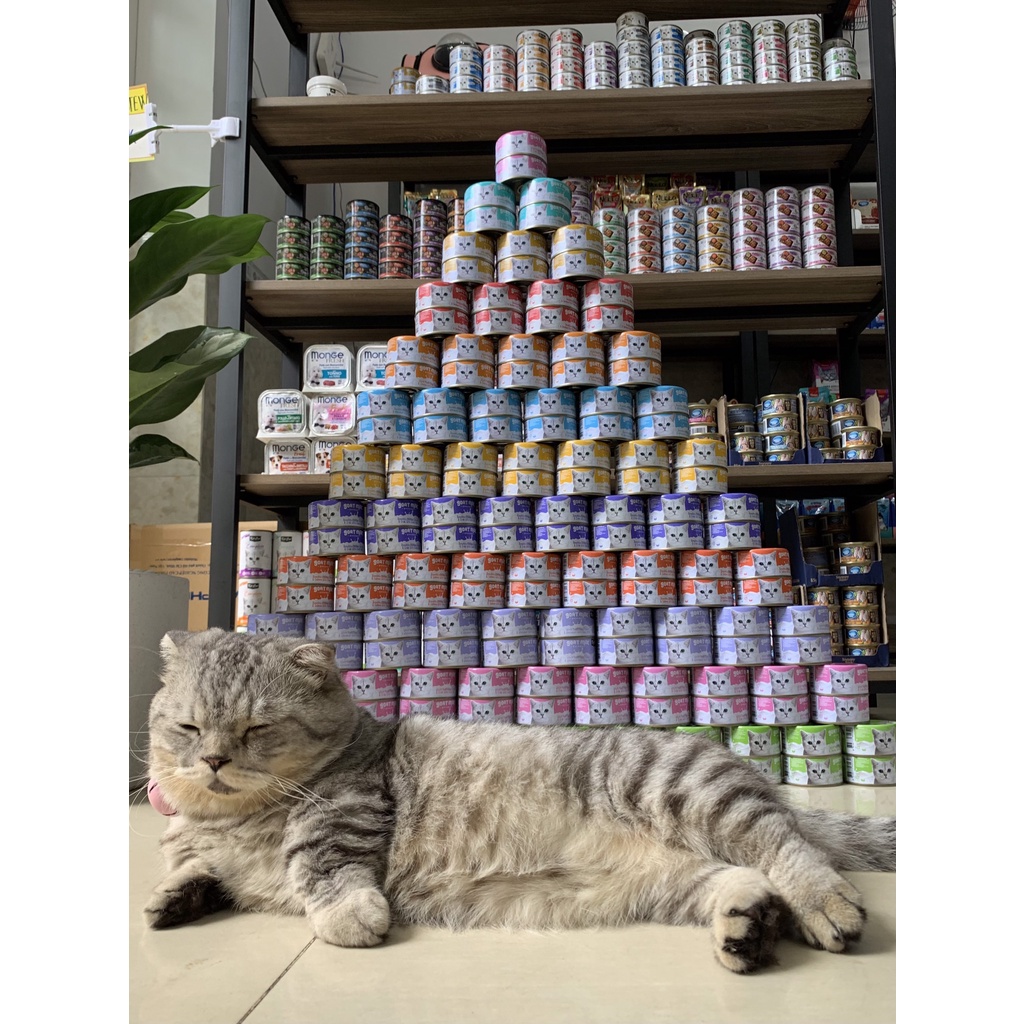 Pate Cho Mèo - Pate Kitcat Goatmilk, Gravy Cao Cấp Cho Mèo 70G