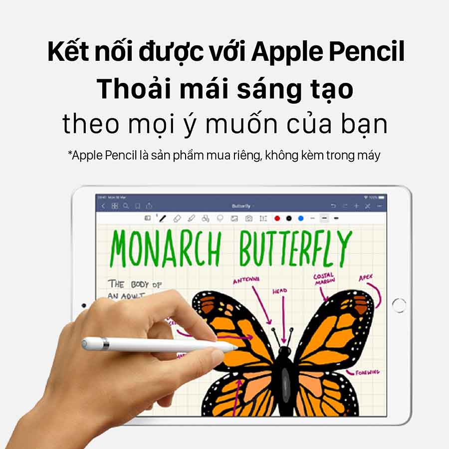 Apple iPad Air 3 10.5 inch (2019) Wi-Fi, 64GB | BigBuy360 - bigbuy360.vn