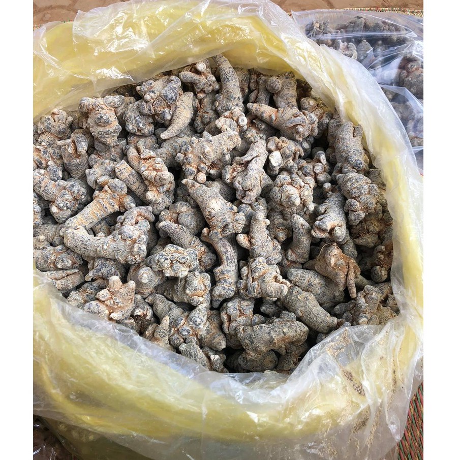 Củ tam thất bắc khô (100g) | BigBuy360 - bigbuy360.vn