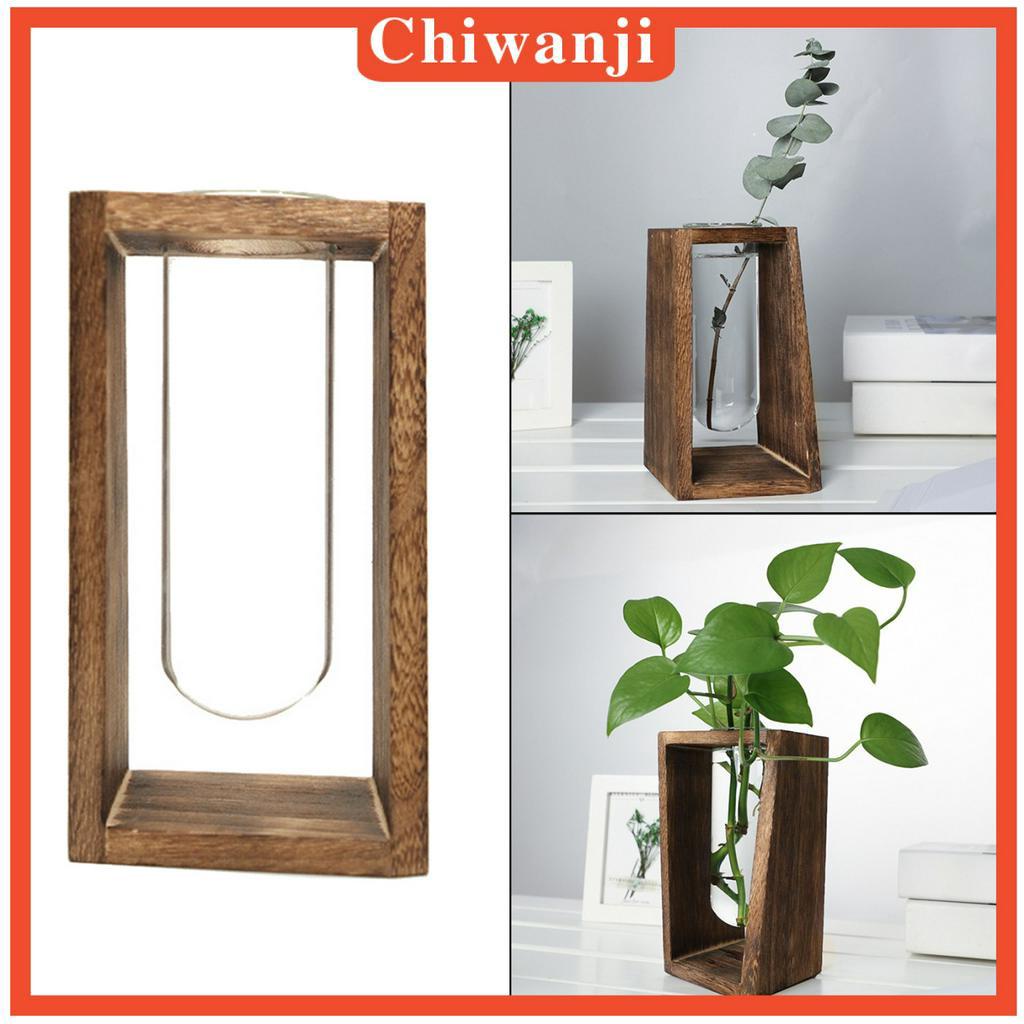 Chậu Kính Trồng Cây Cảnh Bonsai Bằng Gỗ Dùng Trang Trí Nhà Cửa