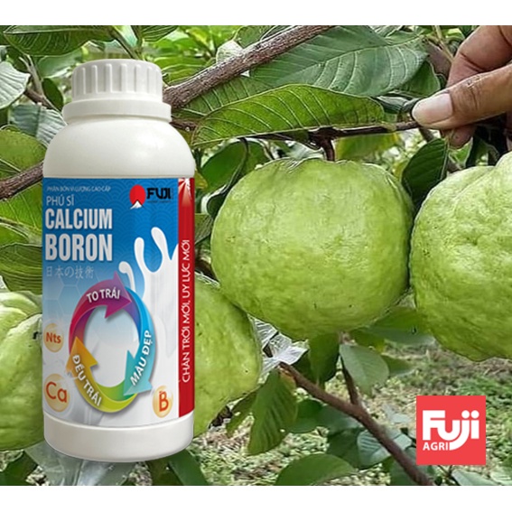Phân bón vi lượng Canxi Bo Phú Sĩ Calcium Boron 500ml