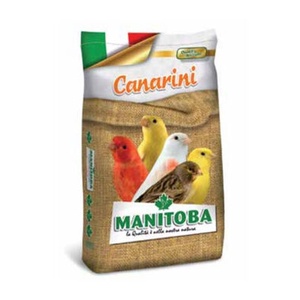 Hạt trộn dành cho chim hoàng yến trống