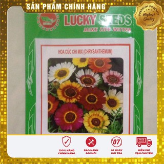 Hạt giống hoa Cúc Chi mix (100 hạt )