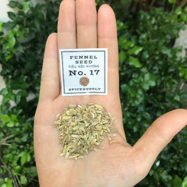 Fennel seed - hạt Tiểu hồi hương Hũ 120ml | BigBuy360 - bigbuy360.vn