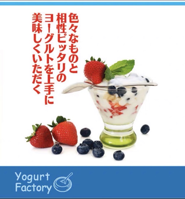 Máy Ủ Sữa Chua, Máy Ủ Sữa Cho Bé. Máy làm yogurt Nhật, ủ bằng nhiệt. của Curious