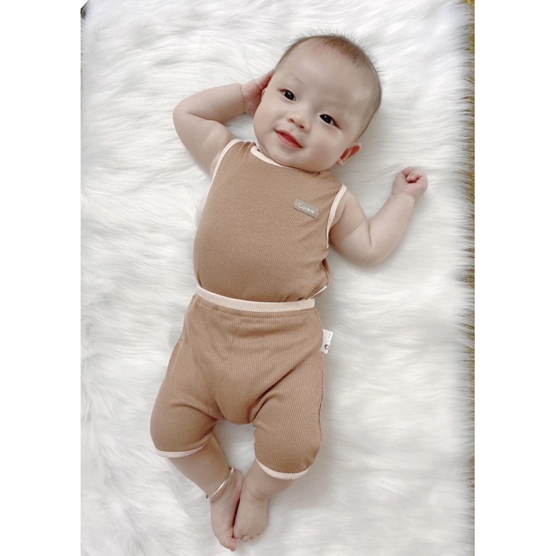 Cookie- Bộ ba lỗ sợi tre vân tăm