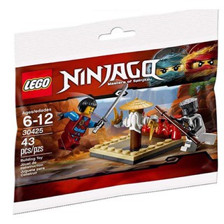 Bộ LEGO NinjaGo 30425 - Huấn luyện Ninja
