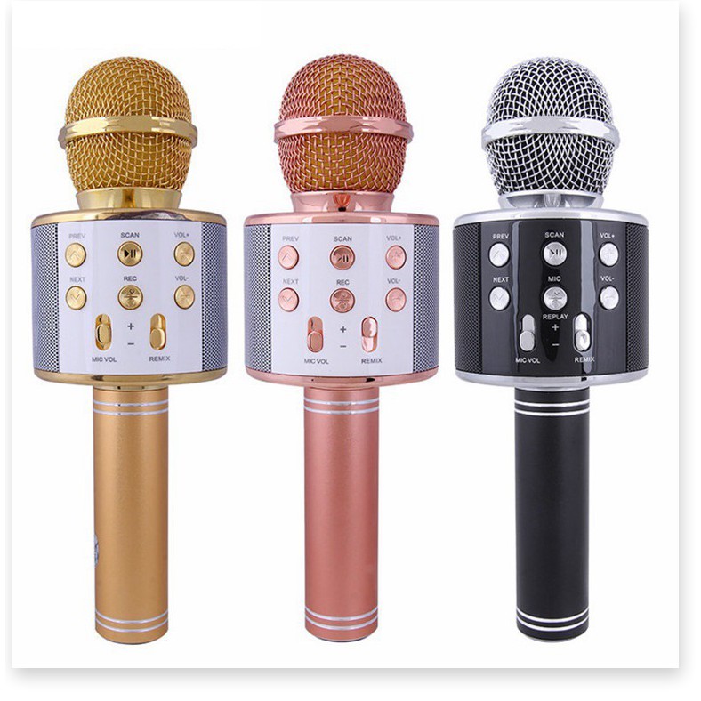 Micro Karaoke Kiêm Loa BLUETOOTH WS858