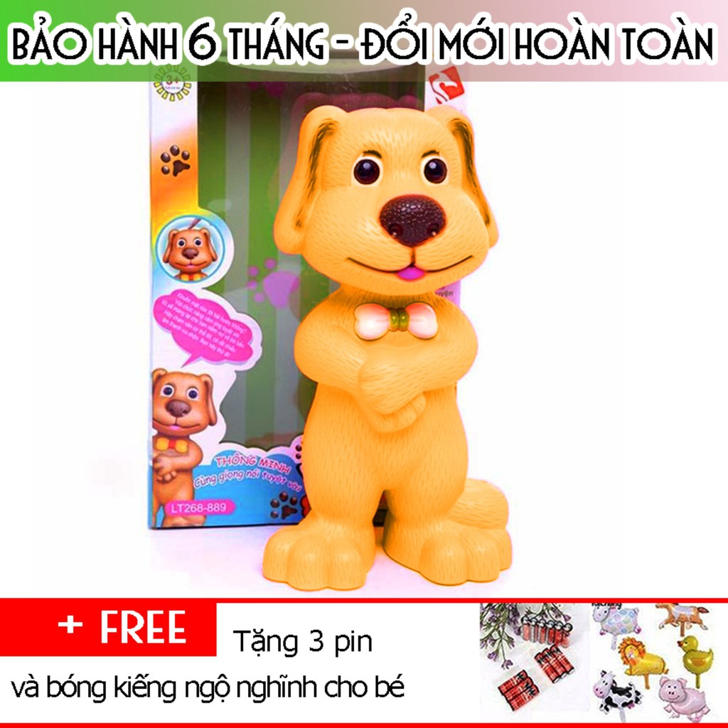 Chó Ben cảm ứng loại lớn, biết nhại giọng nói, hát và kể chuyện