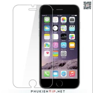 Cường lực Glass Iphone 6 Plus