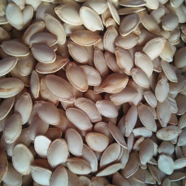 Sỉ 1 kg hạt bí sấy chín