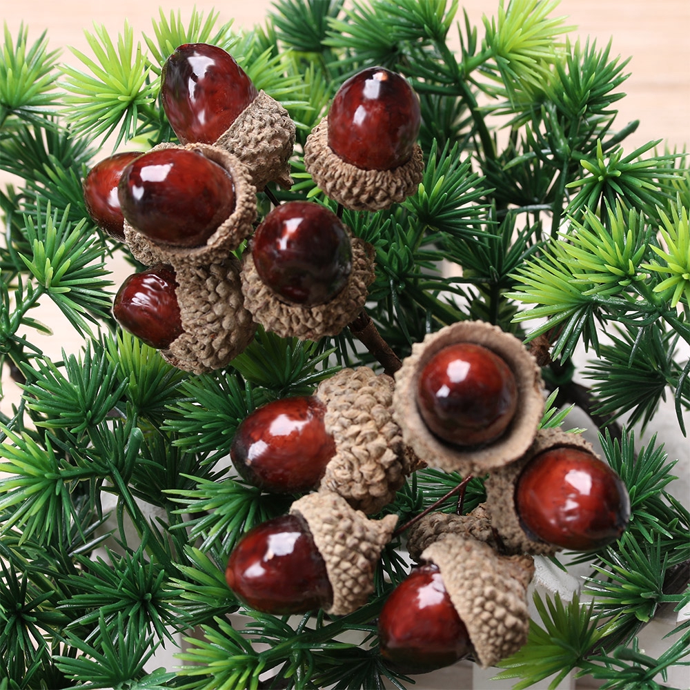 Bộ 6 nhánh cây hạt thông khô dùng làm đồ thủ công trang trí nhà/tiệc/lễ hội đẹp mắt DIY