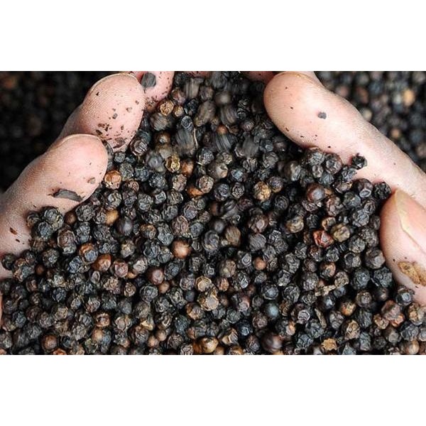 Tiêu đen Gia Lai - Tây nguyên chính hãng nhà trồng chất lượng đảm bảo 100% thơm và ngon