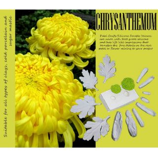 Cúc Đại Đóa - Khuôn vân nhựa dẻo hoa đất lấy vân 2 mặt