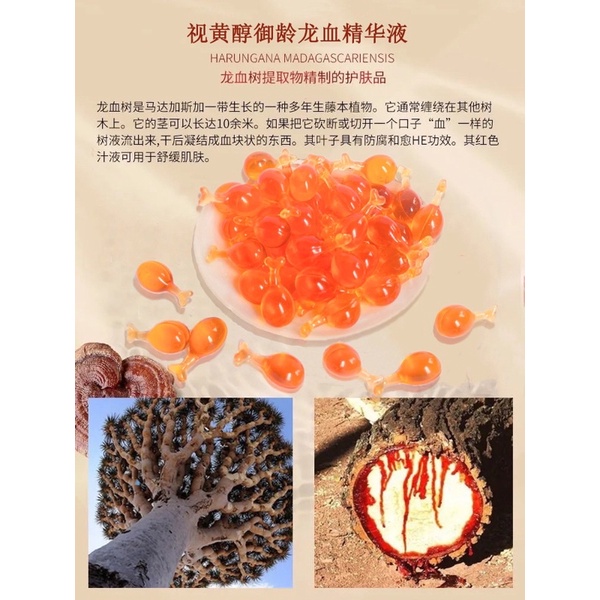 Viên Tinh Chất Huyết Rồng Dưỡng ẩm, làm sáng, phục hồi, nuôi dưỡng, trẻ hóa và trẻ hoá.