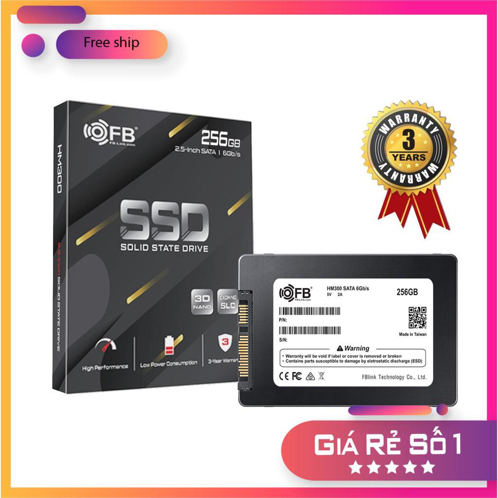 Ổ CỨNG SSD FB-LINK HM-300 256GB CHÍNH HÃNG BH 3 NĂM | BigBuy360 - bigbuy360.vn