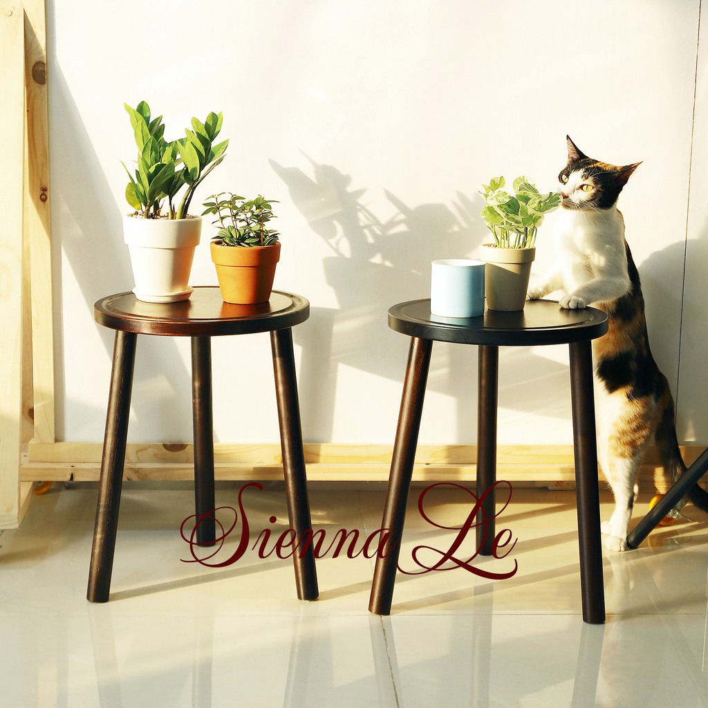 Sienna Le  Kệ Giá Tròn Nhỏ Đỡ Chậu Hoa Đôn Gỗ - Chân Tháo Rời Mặt Bàn Có Khoét Rãnh - Bàn Trà Bàn Coffee 40x30cm