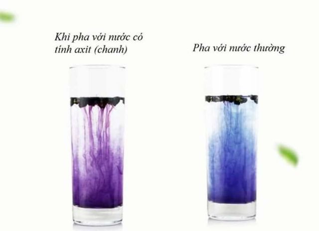 [Mã GROSALEHOT giảm 8% đơn 250K] { 100G } HOA ĐẬU BIẾC SẤY KHÔ | BigBuy360 - bigbuy360.vn