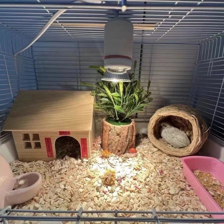 Đèn sưởi ấm cho thú cưng, đèn sưởi cho chó con, mèo con, chim, gà, bò sát... đèn sưởi ban đêm và ban ngày