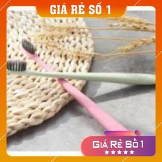 Bàn chải lúa mạch giao màu ngẫu nhiên